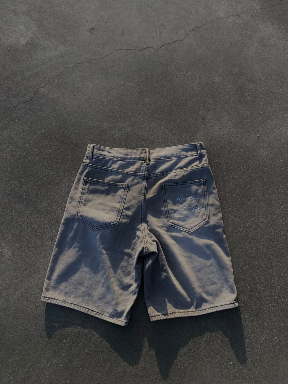 Shorts "Never Fit In"